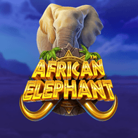 African Elephant game screenshot